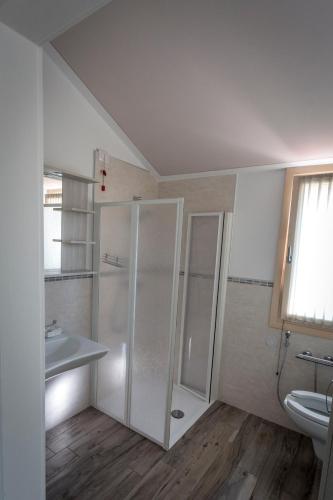 a bathroom with a shower and a sink and a toilet at Agriturismo Corte Casello in Gazoldo degli Ippoliti