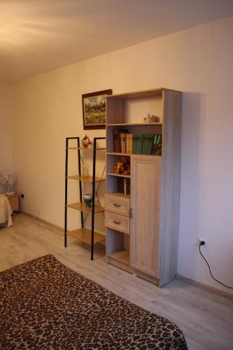 リエパーヤにあるPromenade Central Apartmentの本棚と本棚のある部屋