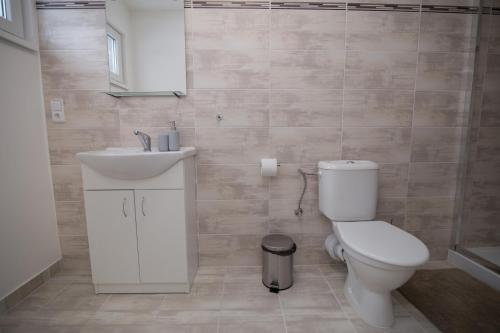 a bathroom with a toilet and a sink at Apartment Šarka in HoÅ¡Å¥ka