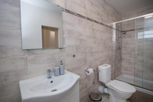 łazienka z toaletą, umywalką i prysznicem w obiekcie Apartment Šarka w mieście HoÅ¡Å¥ka
