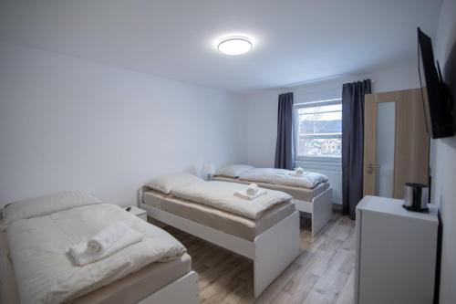 Zimmer mit 2 Betten und einem Spiegel in der Unterkunft Apartment Tereza in HoÅ¡Å¥ka