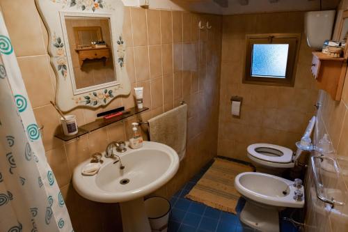 La salle de bains est pourvue d'un lavabo et de toilettes. dans l'établissement La casa rosa, à Vitiano