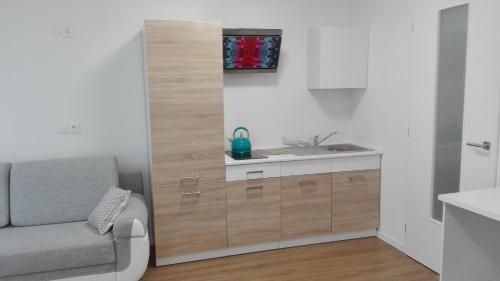 TV a/nebo společenská místnost v ubytování Apartment Brno centrum with private parking