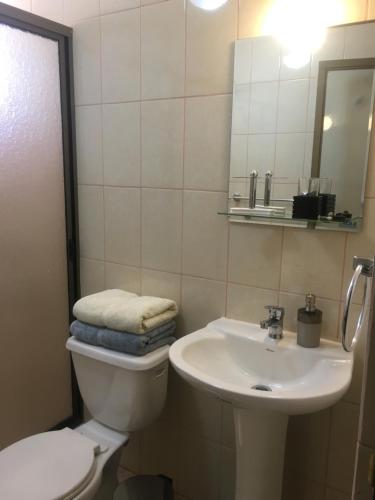 a bathroom with a sink and a toilet and a mirror at Las Cornizas de Catarpe in San Pedro de Atacama