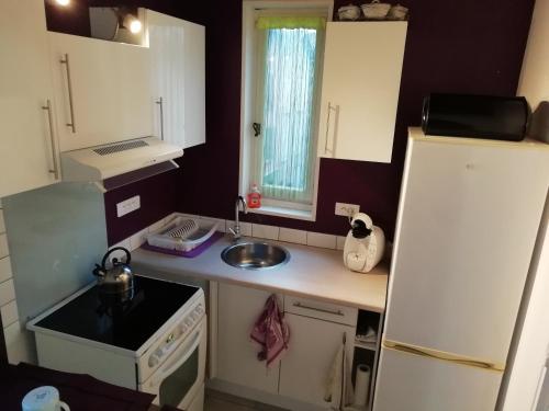 uma pequena cozinha com um lavatório e um frigorífico em La Perle du Rouergue em Villefranche-de-Rouergue