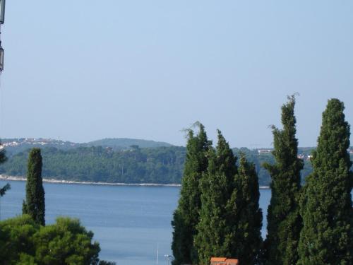 un groupe d'arbres sur la rive d'un lac dans l'établissement Apartment Diana, à Rovinj