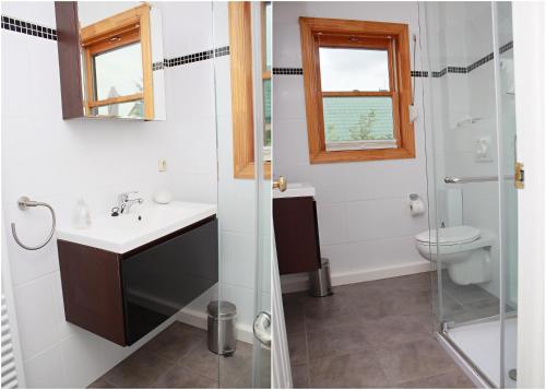 a bathroom with a toilet and a sink and a shower at Ferienhaus Friedrichswalde in Friedrichswalde