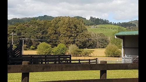a wooden bench in front of a field with trees at Hunua Ranges in Hunua