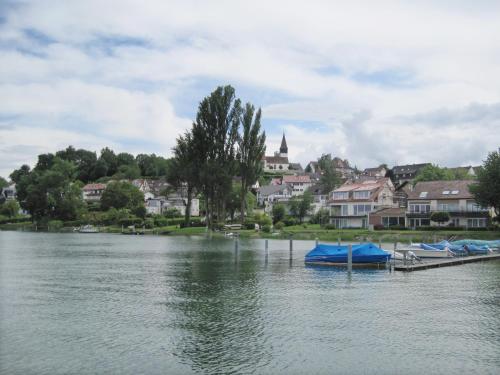 a group of boats are docked on a lake at Seeblick Imperia in Konstanz