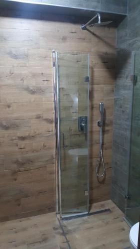 una ducha con puerta de cristal en un baño en Villa Krzesanica, en Czarna Góra