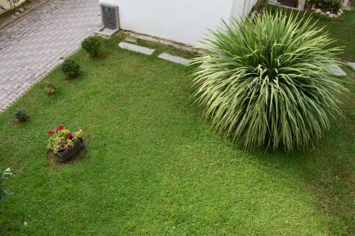 Gallery image of Marinis Boutique Rooms in Iraklitsa