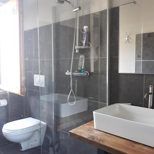 a bathroom with a shower and a toilet and a sink at Felix in Giustino
