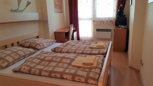 2 aparte bedden in een kamer met een raam bij Apartment Tatran Tánička in Donovaly