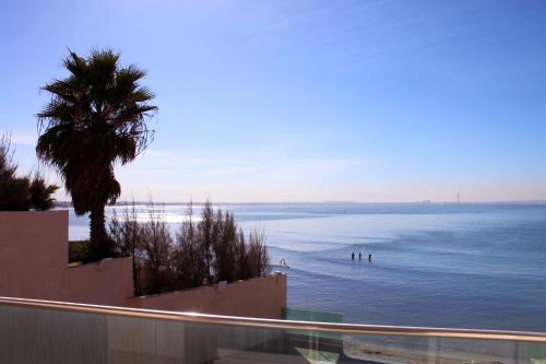 a view of a beach with a palm tree and the ocean at RESIDENCE TOURISTIQUE DU PORT in Alger