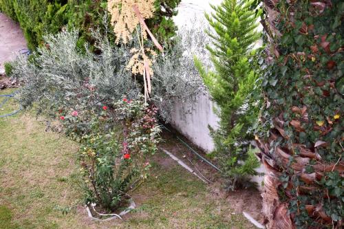 Gallery image of Marinis Boutique Rooms in Iraklitsa