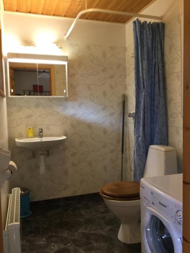 łazienka z toaletą i umywalką w obiekcie Lilla Lilo Gården w mieście Östersund