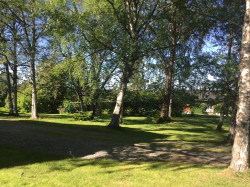 a park with trees and green grass and a field at Lilla Lilo Gården in Östersund