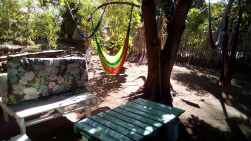 un banco sentado bajo un árbol junto a un árbol en Casa Balam Hostel Sisal, en Sisal