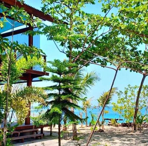 a tree in front of a building on a beach at Castaway Surf Retreat in Sekongkang