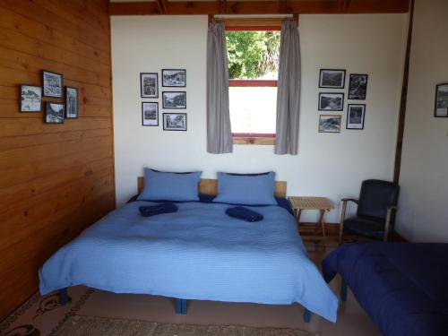 a bedroom with a bed with blue sheets and a window at The Old Slaughterhouse Traveller's Lodge in Hector