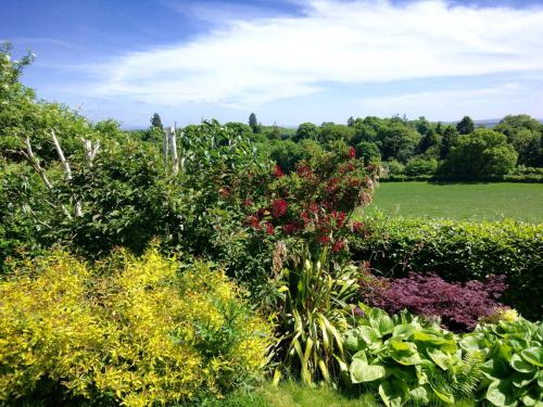 a garden with many different types of plants at Bowden House B&B in Melrose