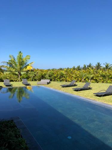 a swimming pool with lounge chairs and palm trees at Villa Astreia in Bel Ombre
