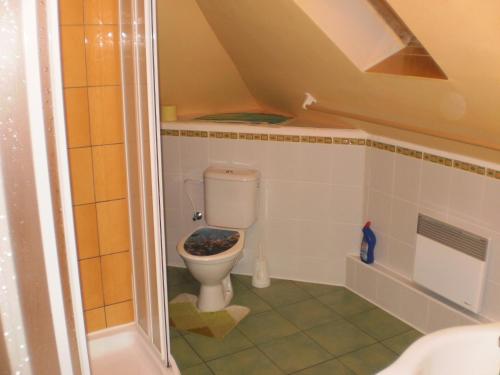 a bathroom with a toilet in a small room at Privat Buk 100 in Jindřichŭv Hradec