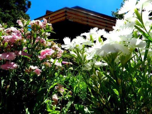Casita de Madera – Photos 2