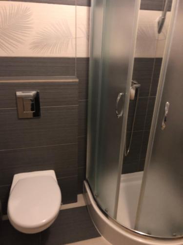 a bathroom with a toilet and a shower at Pokoje Gościnne Pod Gubałówką in Nowe Bystre