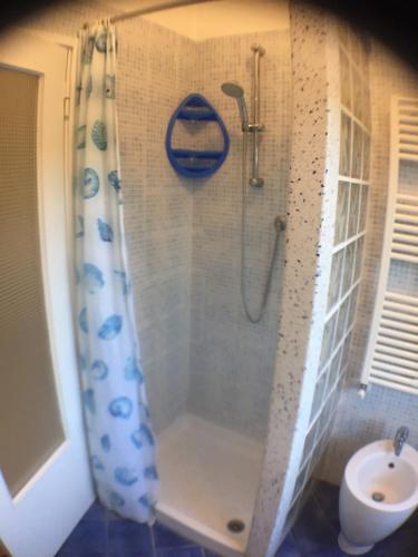 eine Dusche mit Duschvorhang und ein WC im Bad in der Unterkunft Appartamento Acquamarina in Marina di Cecina