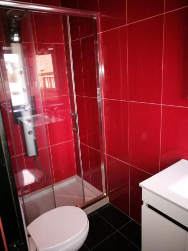 a red bathroom with a shower and a toilet at Casa do Ti Correia in Macedo de Cavaleiros