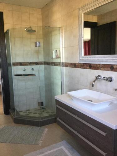 y baño con lavabo y ducha. en Windhoek Rural Self Catering en Voigtland