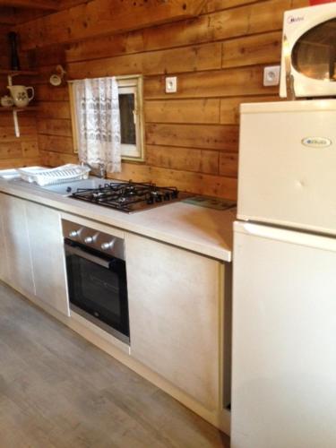 eine Küche mit einem Herd und einem Kühlschrank in der Unterkunft Les Marmottes in Excenevex