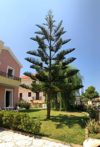 a pine tree in a yard next to a house at Wooden Roof Apartment in Lixouri
