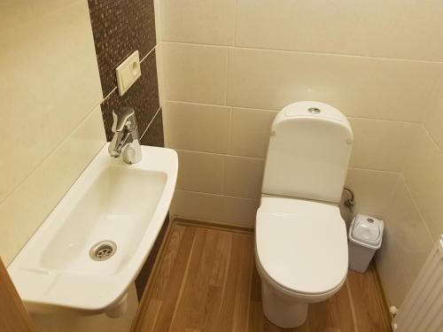 a bathroom with a white toilet and a sink at Stylish apartment Riga in Rīga