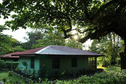 a small green house with a metal roof at Hacienda Baru in Dominical