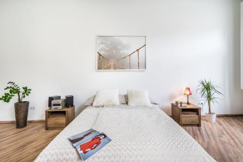 Budapest City Apartment