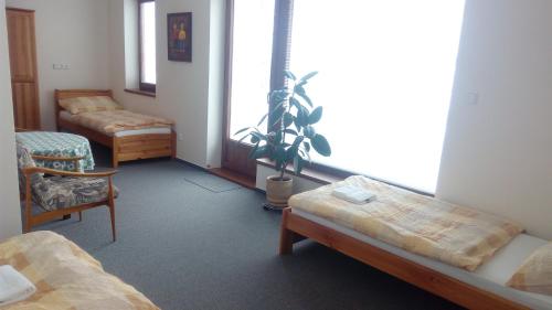 a room with two beds and a potted plant at Rekreace Zelba in Strážné