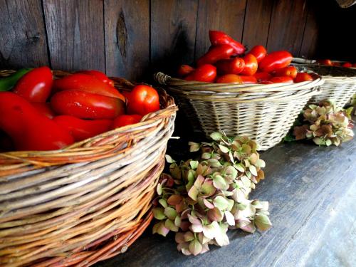 two baskets of tomatoes sitting on a table at Casa Rondini in Montegabbione