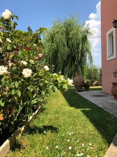 a garden with roses and a tree at Wooden Roof Apartment in Lixouri