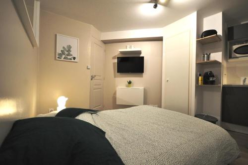 a bedroom with a bed and a flat screen tv at Studio cosy en hypercentre, quartier St Etienne in Toulouse