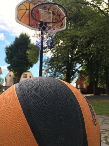 a basketball hoop with a ball in front of it at Brunsbo G:a Biskopsgård Hotell & Konferens in Skara