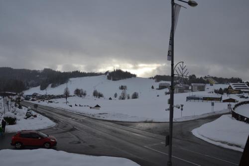 Šafrán - Dorothy 44, durante l'inverno