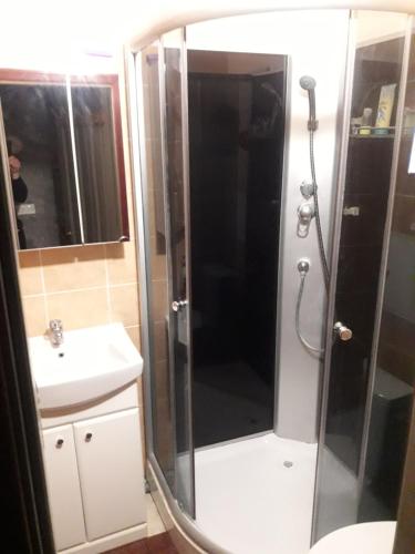 bagno con doccia e lavandino di 2 istabu dzīvoklis ad Aizkraukle