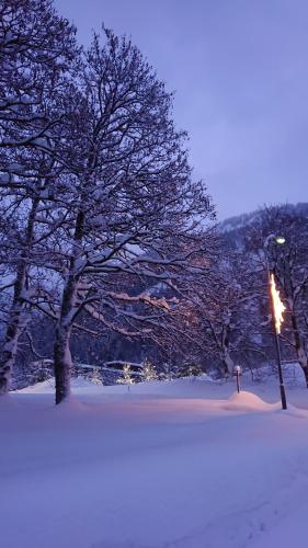 einen schneebedeckten Park mit Bäumen und einem Straßenlicht in der Unterkunft Haus am Rain in Partenen