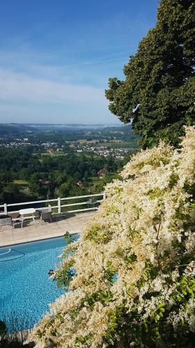 a view of a swimming pool with flowers on a hill at Le Clos Des Etoiles in Le Bugue