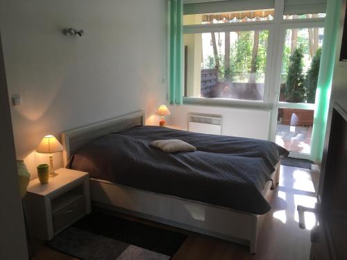a bedroom with a bed and a large window at Pati Ferien Apartmens in Łukęcin