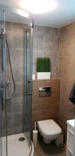 a bathroom with a toilet and a glass shower at Apartment Lenartowicza in Krakow