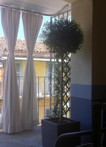 a window with white curtains and a potted plant at Appartamento in centro storico in Asti