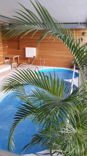 a palm tree in a room with a pool at Auksinė gervė in Berżory